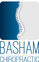 Basham Chiropractic nowra blue and grey spine logo